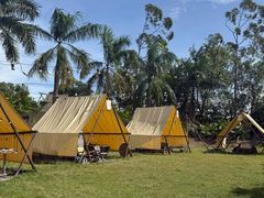 -芭厘·农庄老字号.电饭煲五指毛桃焗鸡