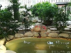 -三江森林温泉度假区