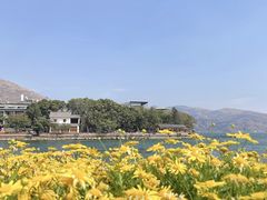 -南诏风情岛