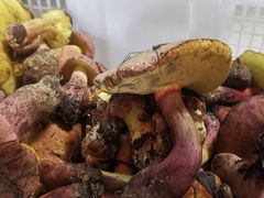 -双喜农庄·菌香园(安居家园店)