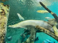 -上海海洋水族馆