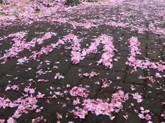 -南京医科大学(江宁校区)