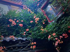 -老张烤羊(王哥庄店)