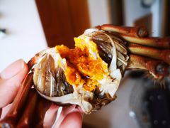 -黄记大闸蟹专卖店·活蟹·醉蟹