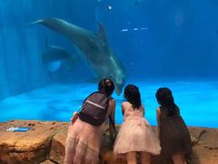 -华夏文旅海洋公园