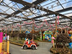 -南宫五洲植物乐园