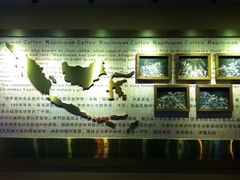 -猫屎咖啡(日月光中心广场店)