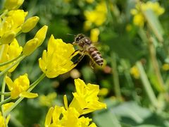 -同济大学(嘉定校区)