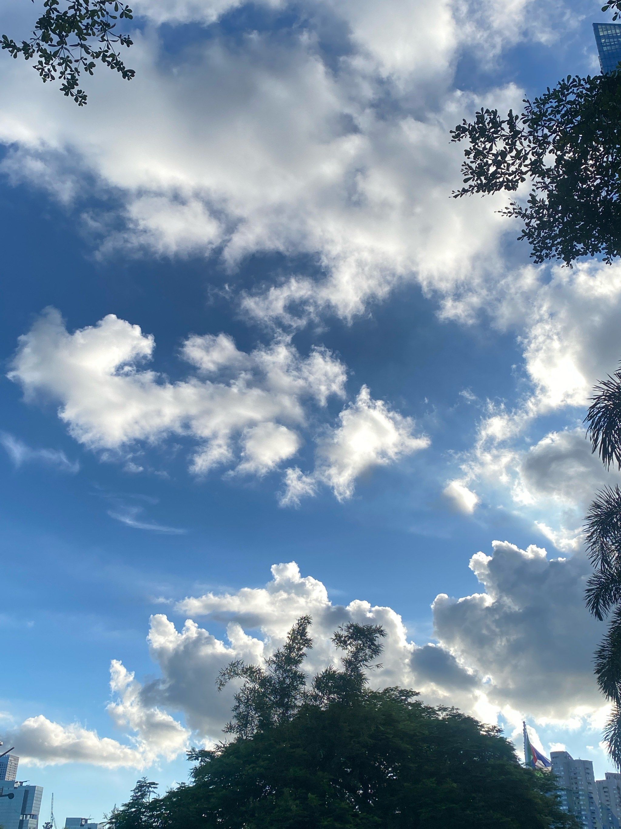 深圳最近的天空真的很好看