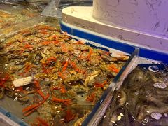 -澜悦港海鲜体验主题餐厅