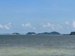 -野狸岛
