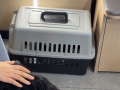 -瑞派伍一宠物医院·眼科·骨科·猫科转诊中心(马王堆院)