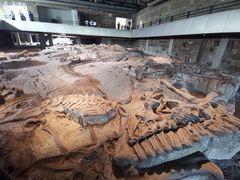 -自贡恐龙博物馆