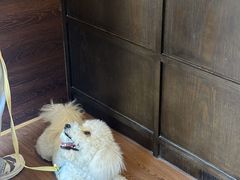 -三川coffee(南头古城店)