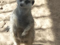 -昆明动物园