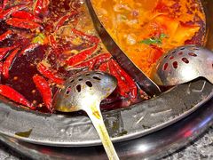 -蜀大侠火锅(总府路店)