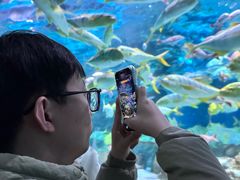 -大连圣亚海洋世界