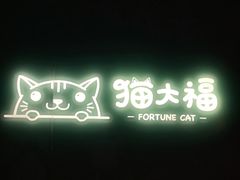 -猫大福·Fortune Cat猫舍(百子湾店)