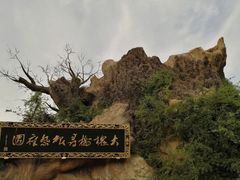 -大槐树寻根祭祖园