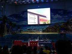 -福州罗源湾海洋世界旅游区