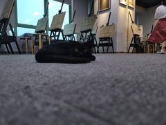 -瑞鹏宠物医院·骨科·猫科·内科(第一中心)