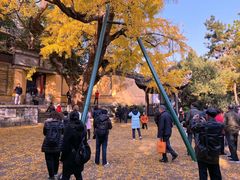 -无锡惠山寺