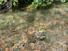 -黄公望隐居地