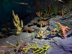 -安徽省地质博物馆