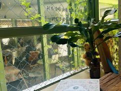 -绿房子方寸咖啡(星海名城店)