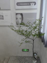 -三只熊皮肤管理中心旗舰店