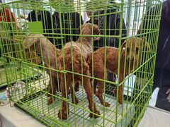 -万达广场(龙湖店)