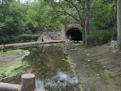 -白水寺森林公园