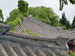 -团结湖公园