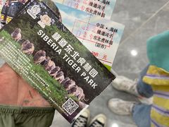 -横道河子东北虎林园