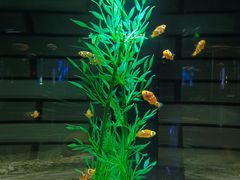 -成都浩海立方海洋公园