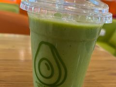-油梨树 AVOCADO TREE(亮马桥店)