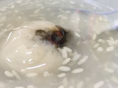 -赵氏汤圆(东关街店)