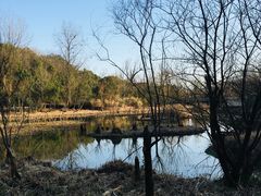 -西湖风景区-江洋畈生态公园