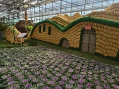 -兰陵国家农业公园