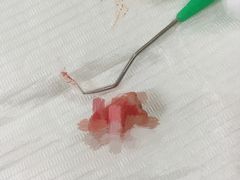-上海市徐汇区口腔医院