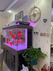 -安院长·产后恢复·徒手骨盆(先天下店)