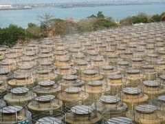 -厨邦酱油文化博览馆