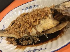 豉油糖炸黄花鱼-雅苑餐厅(朝天路店)