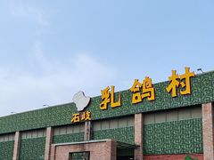 -石岐乳鸽村(南海第三分店)
