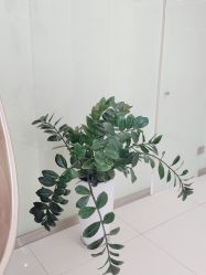 -莲姿娜·半永久纹眉皮肤管理