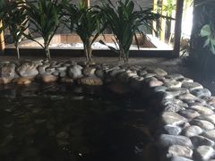 -陆地游轮吉林神农温泉