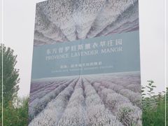 -北京东方普罗旺斯薰衣草庄园