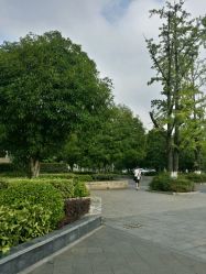 -贵阳国际生态会议宴会中心