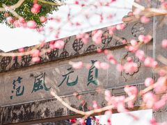 -紫阳古街