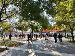 -龙华素斋(龙华路店)